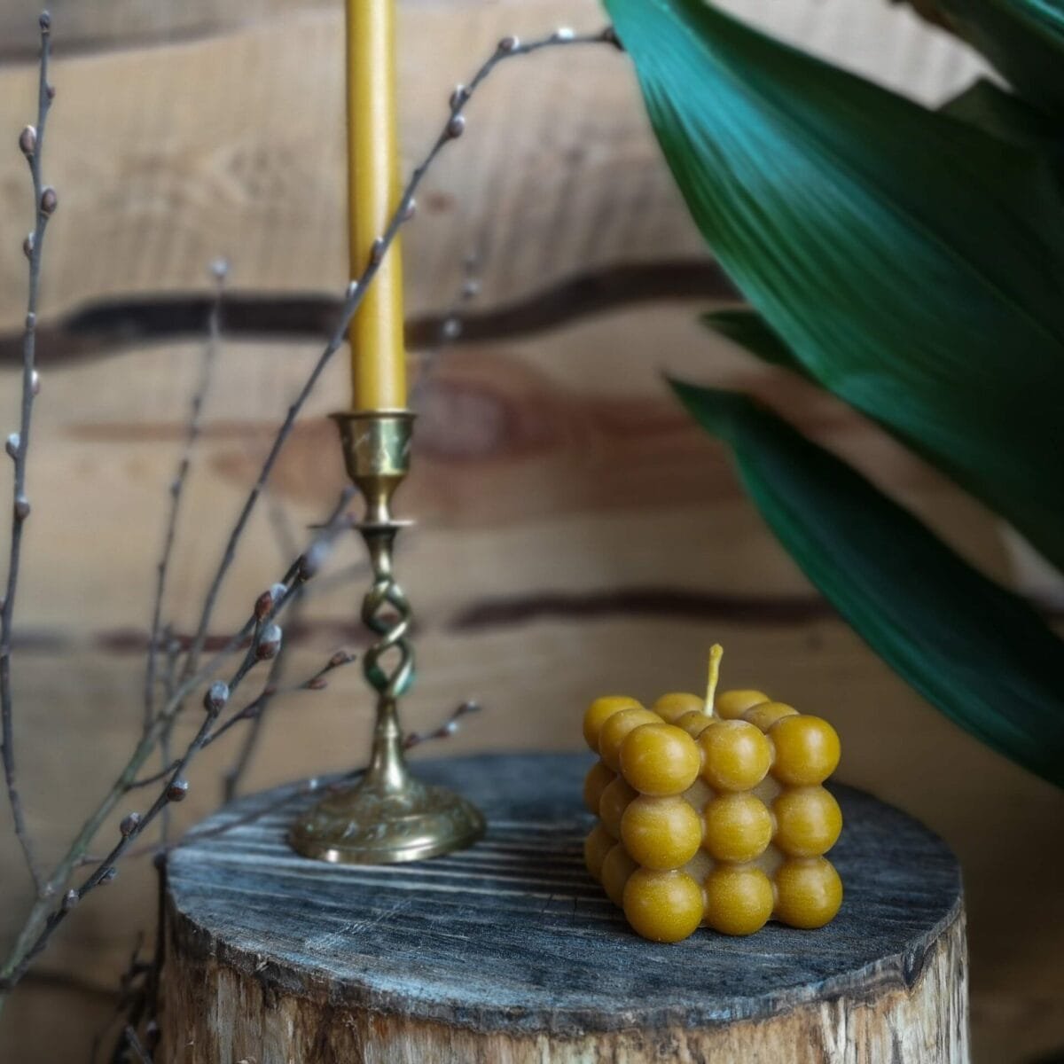 Gamtos filosofija Bičių vaško žvakė Burbuliukai