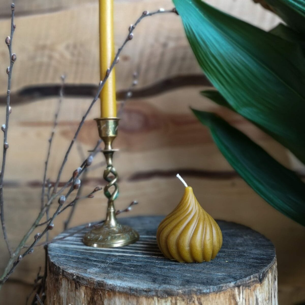 Gamtos filosofija Bičių vaško žvakė Sukta