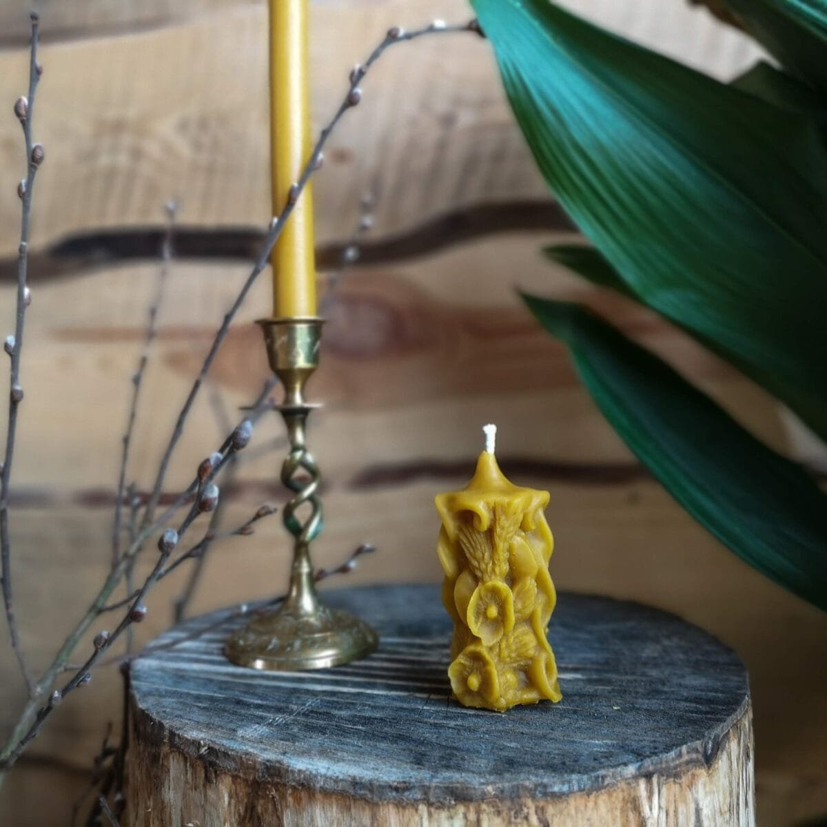 Gamtos filosofija Bičių vaško žvakė Derlius