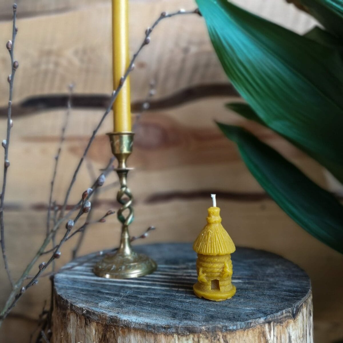 Gamtos filosofija Bičių vaško žvakė Šiaudinukas