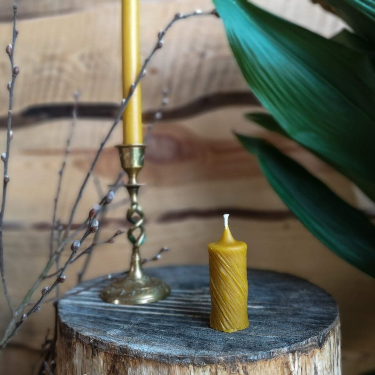 Gamtos filosofija Bičių vaško žvakė Suktas cilindriukas