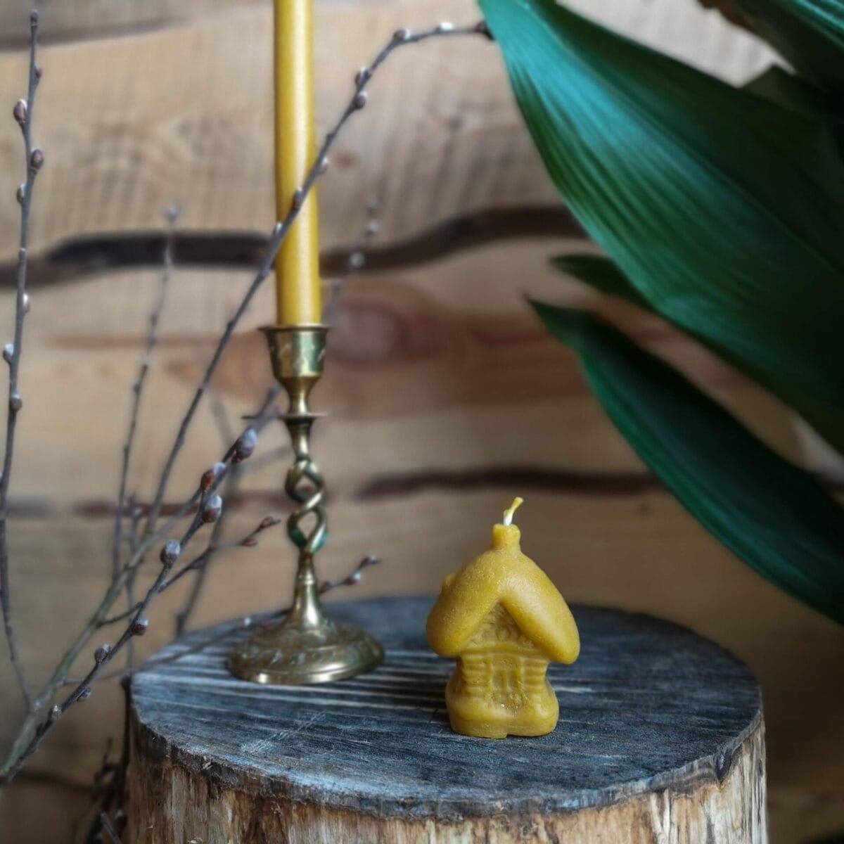 Gamtos filosofija Bičių vaško žvakė Trobelė