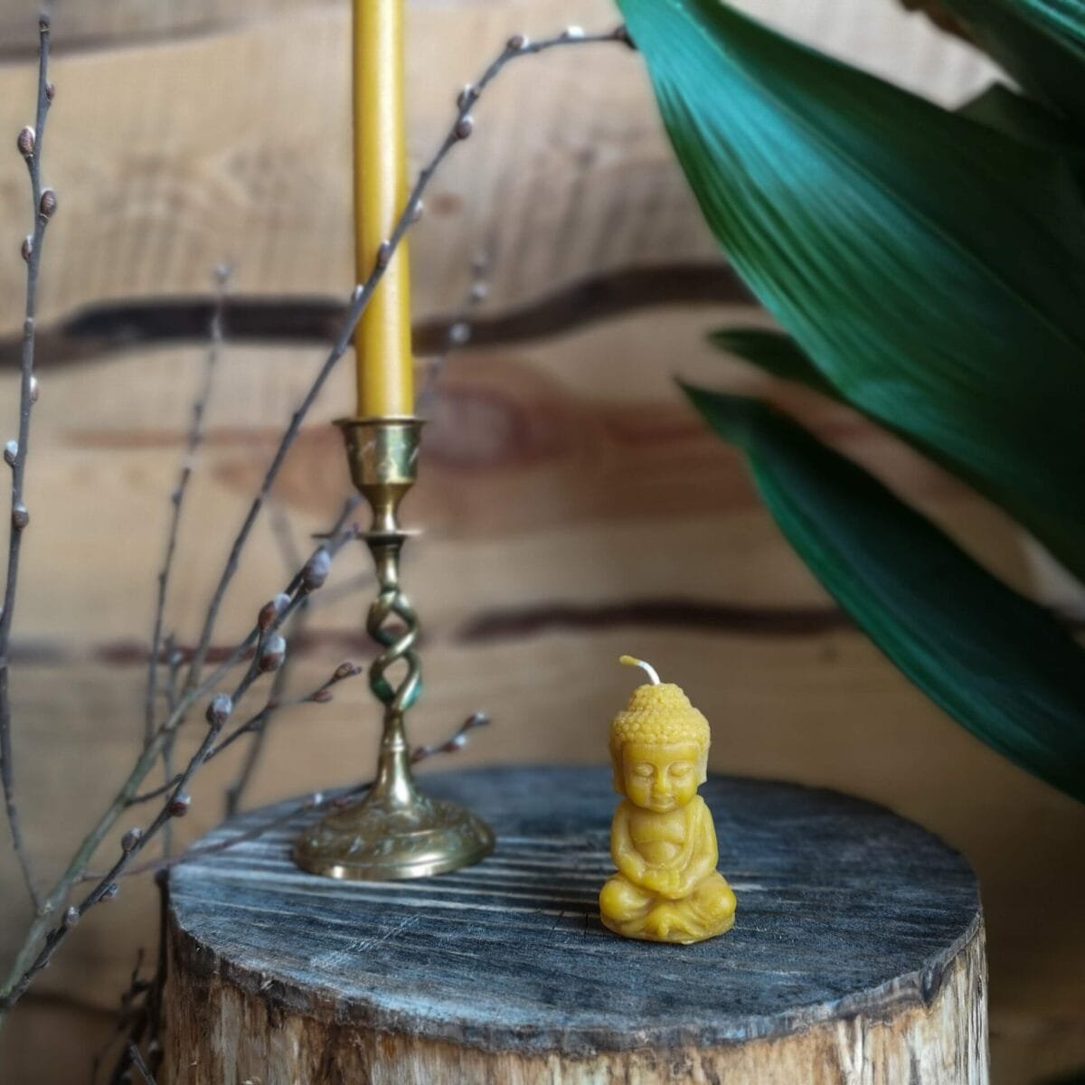 Gamtos_filosofija_bičių_vaško_žvakės_miško_medus