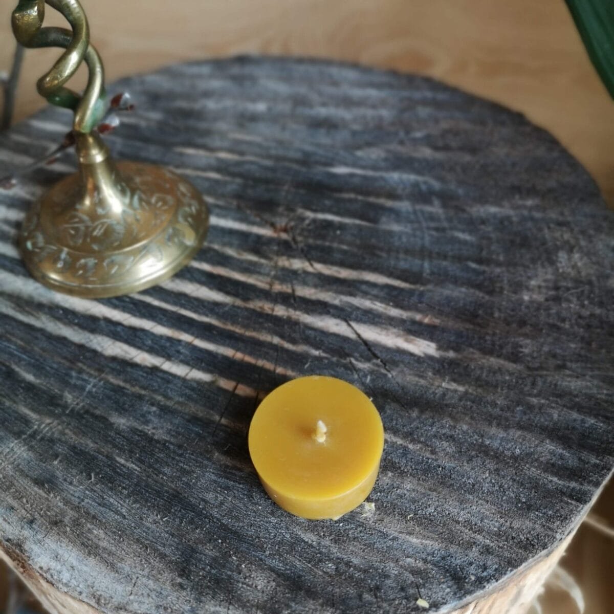 Gamtos filosofija Bičių vaško žvakė Arbatinė