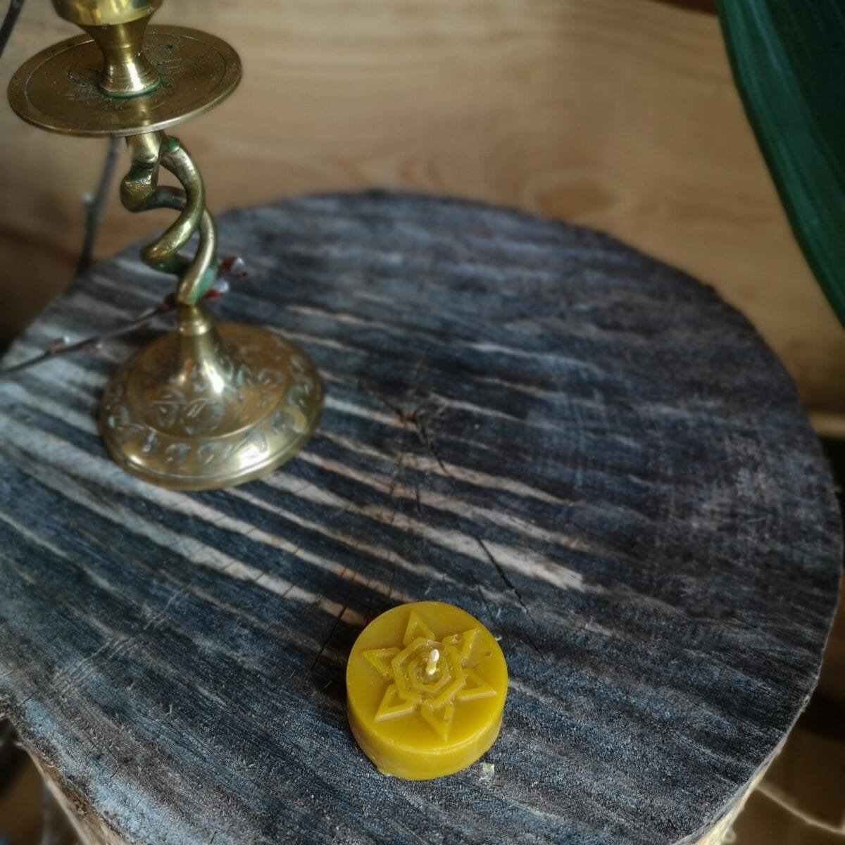 Gamtos filosofija Bičių vaško žvakė Arbatinė 2