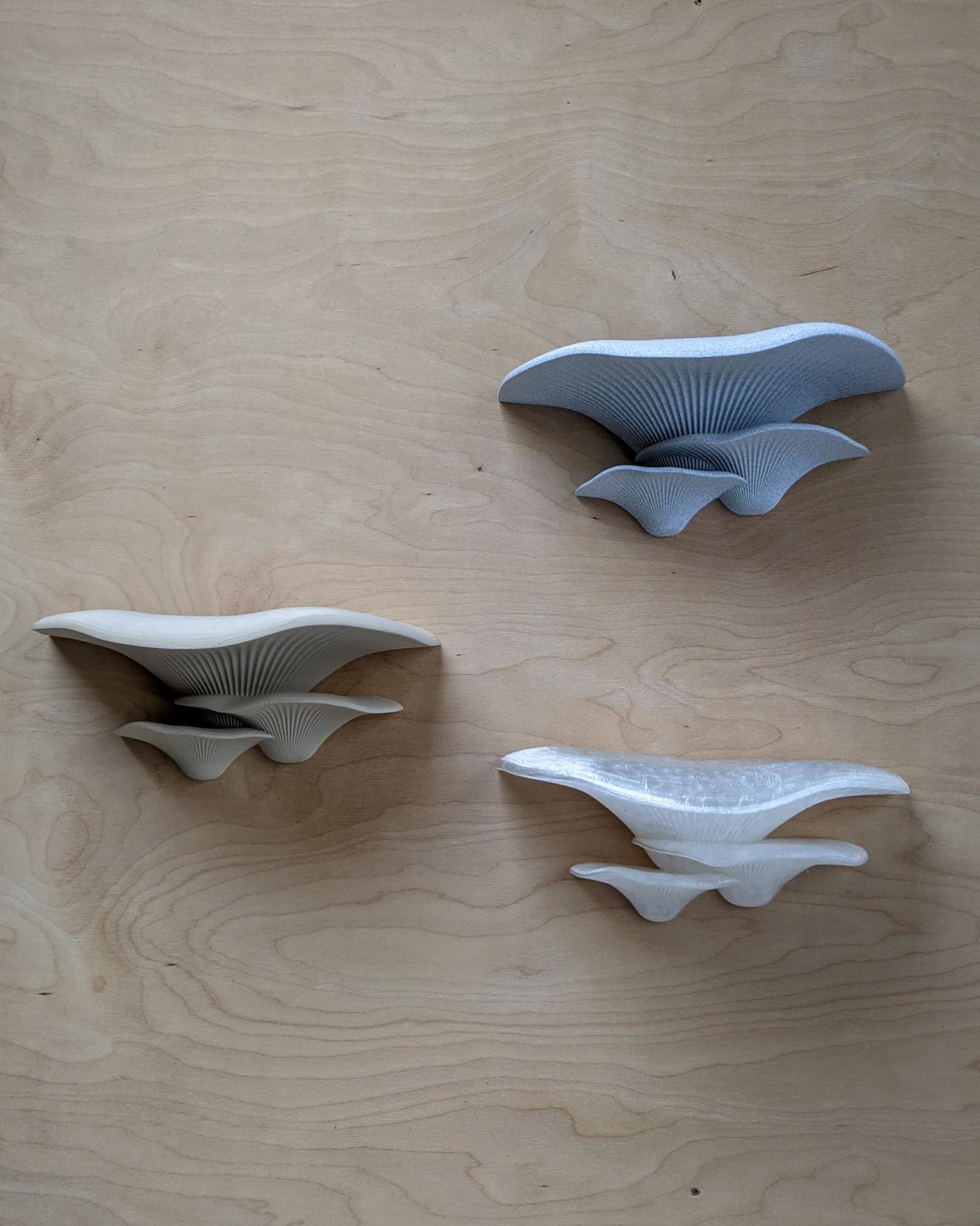 Dekoratyviniai_grybai_3d_grybai_grybai_ant_sienos_grybas_lentyna_gamtos_filosofija