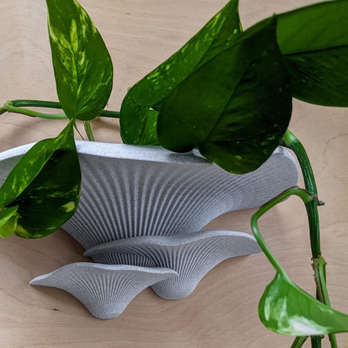 Dekoratyviniai_grybai_3d_grybai_grybai_ant_sienos_grybas_lentyna_gamtos_filosofija
