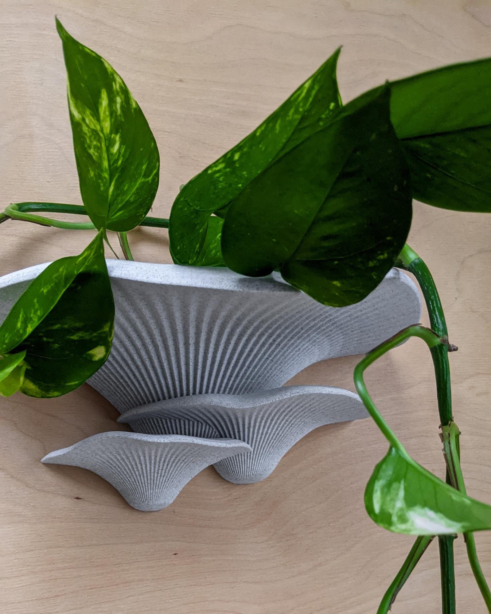 Dekoratyviniai_grybai_3d_grybai_grybai_ant_sienos_grybas_lentyna_gamtos_filosofija