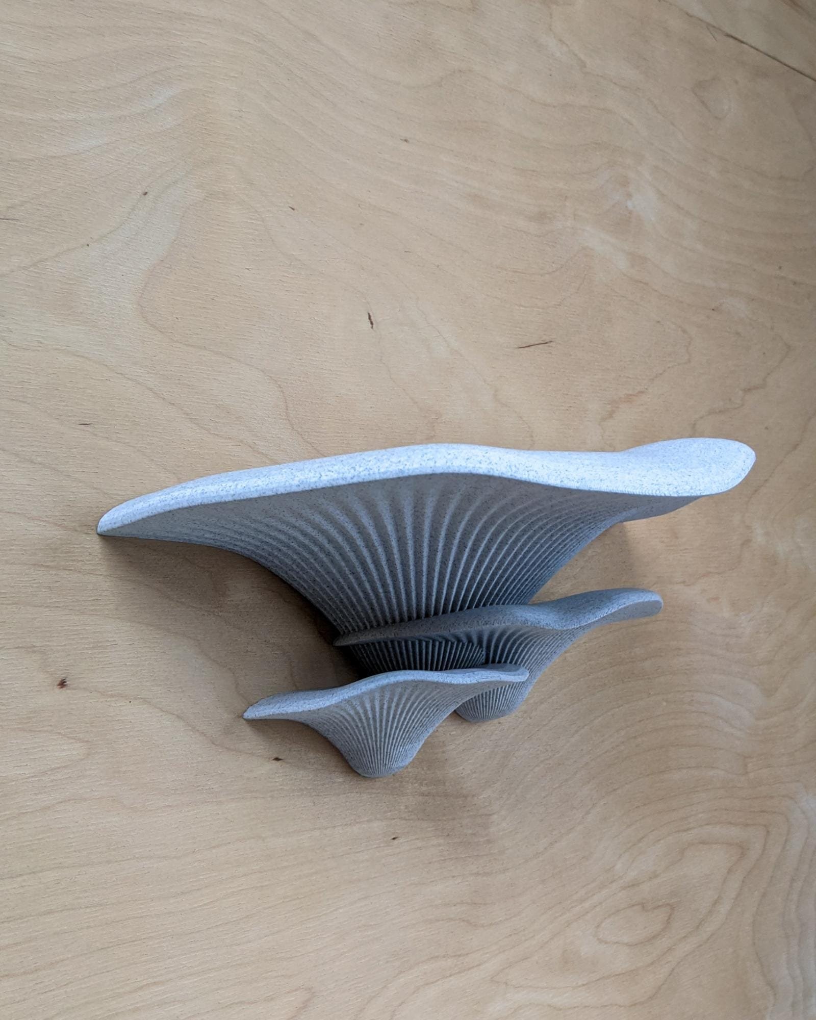 Dekoratyviniai_grybai_3d_grybai_grybai_ant_sienos_grybas_lentyna_gamtos_filosofija