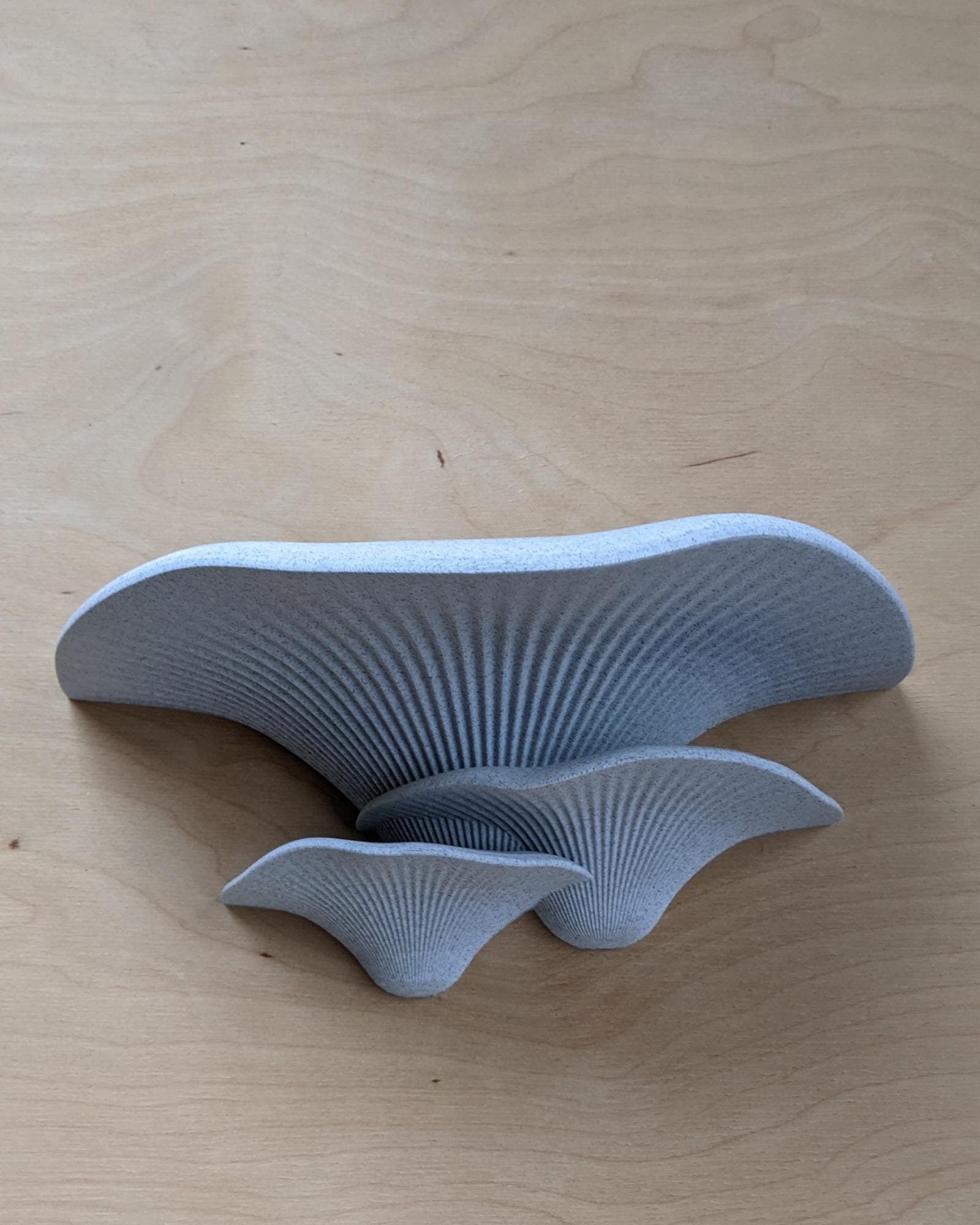 Dekoratyviniai_grybai_3d_grybai_grybai_ant_sienos_grybas_lentyna_gamtos_filosofija