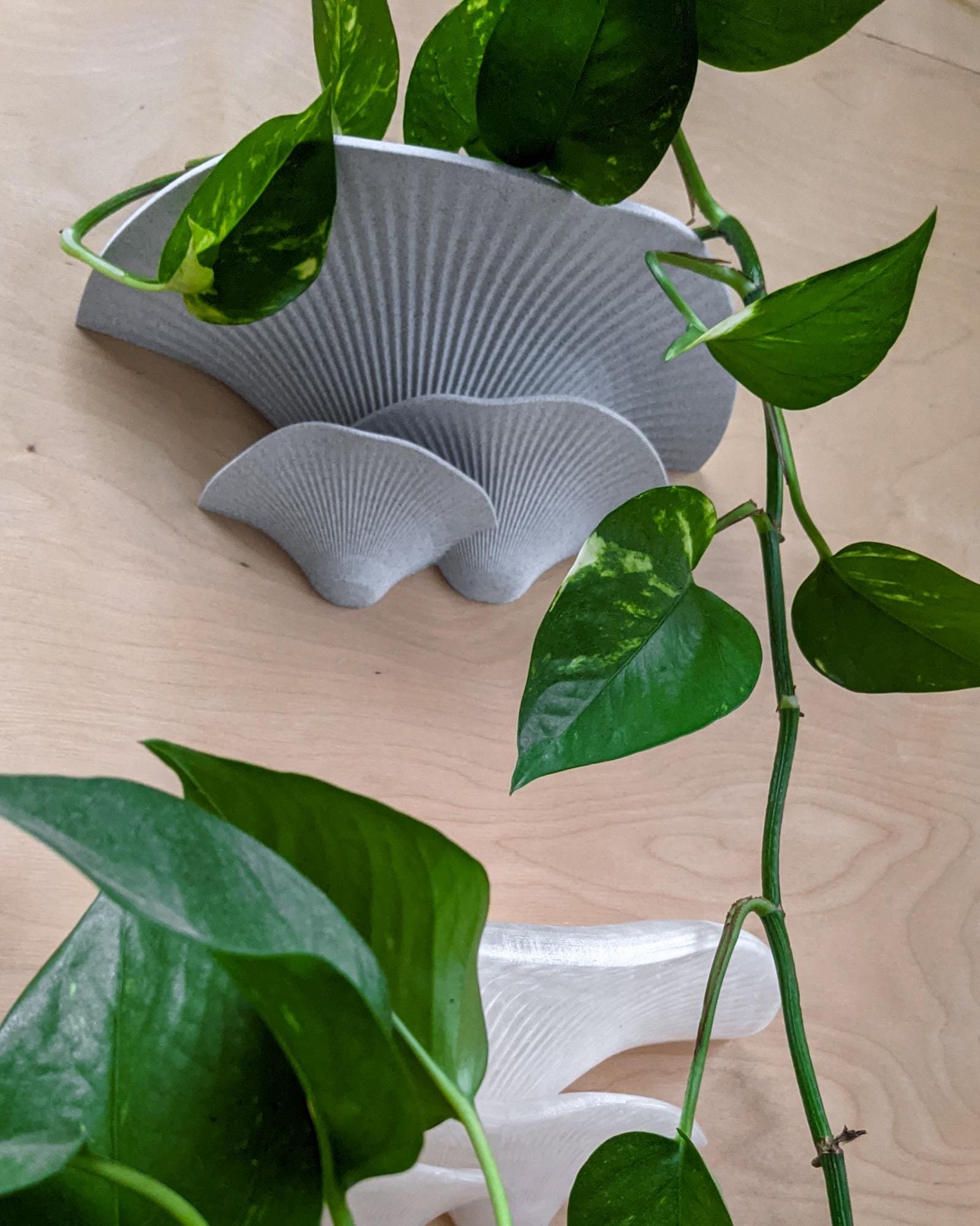 Dekoratyviniai_grybai_3d_grybai_grybai_ant_sienos_grybas_lentyna_gamtos_filosofija