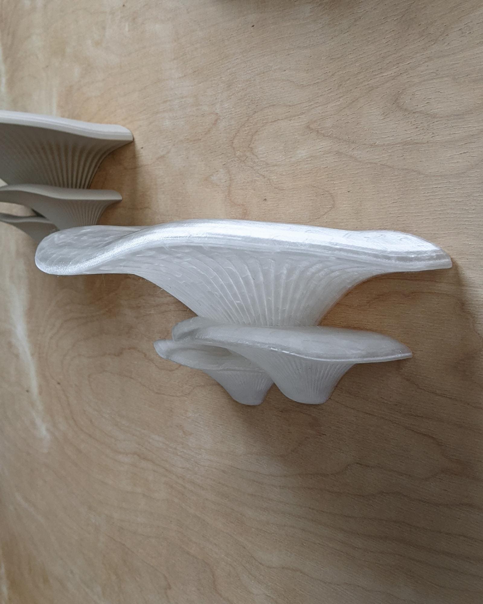 Sienos dekoracija Grybas Crystal 3 Skaidrios_spalvos_grybas_ant_sienos_kerpe_ant_sienos_dekoratyvinis_grybas_gamtos_filosofija