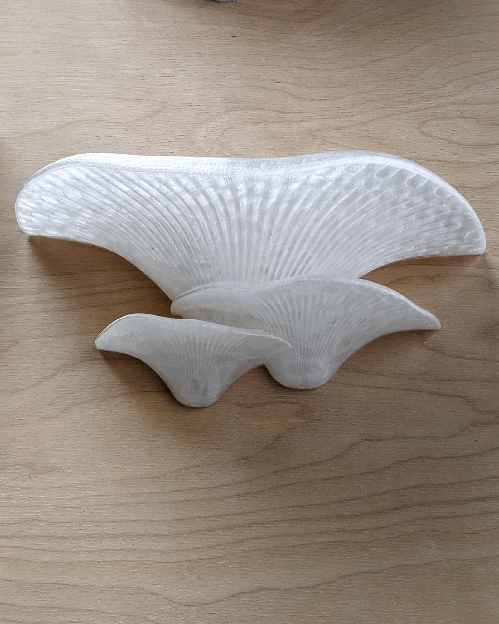 Sienos dekoracija Grybas Crystal 4 Skaidrios_spalvos_grybas_ant_sienos_kerpe_ant_sienos_dekoratyvinis_grybas_gamtos_filosofija