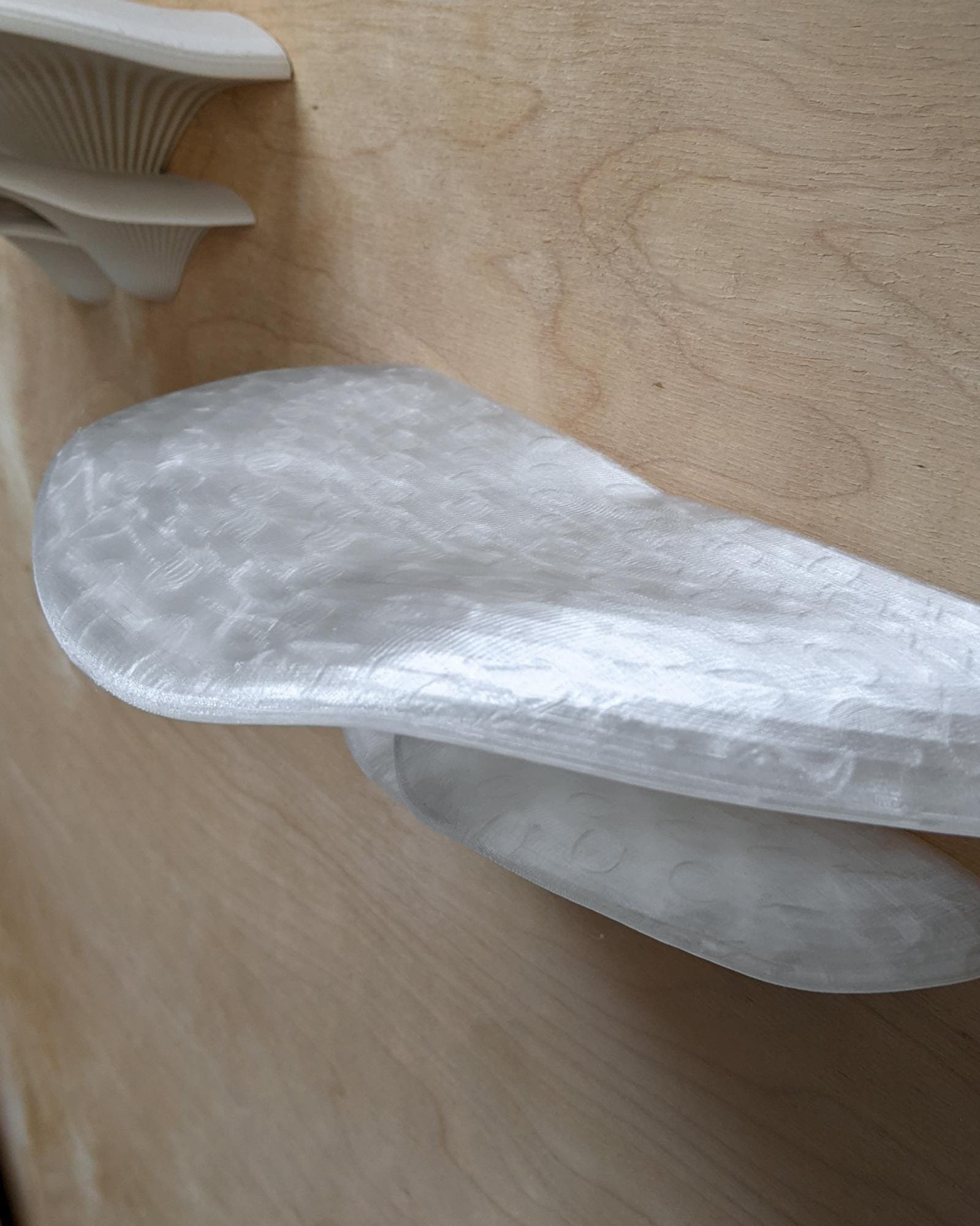 Sienos dekoracija Grybas Crystal 5 Skaidrios_spalvos_grybas_ant_sienos_kerpe_ant_sienos_dekoratyvinis_grybas_gamtos_filosofija