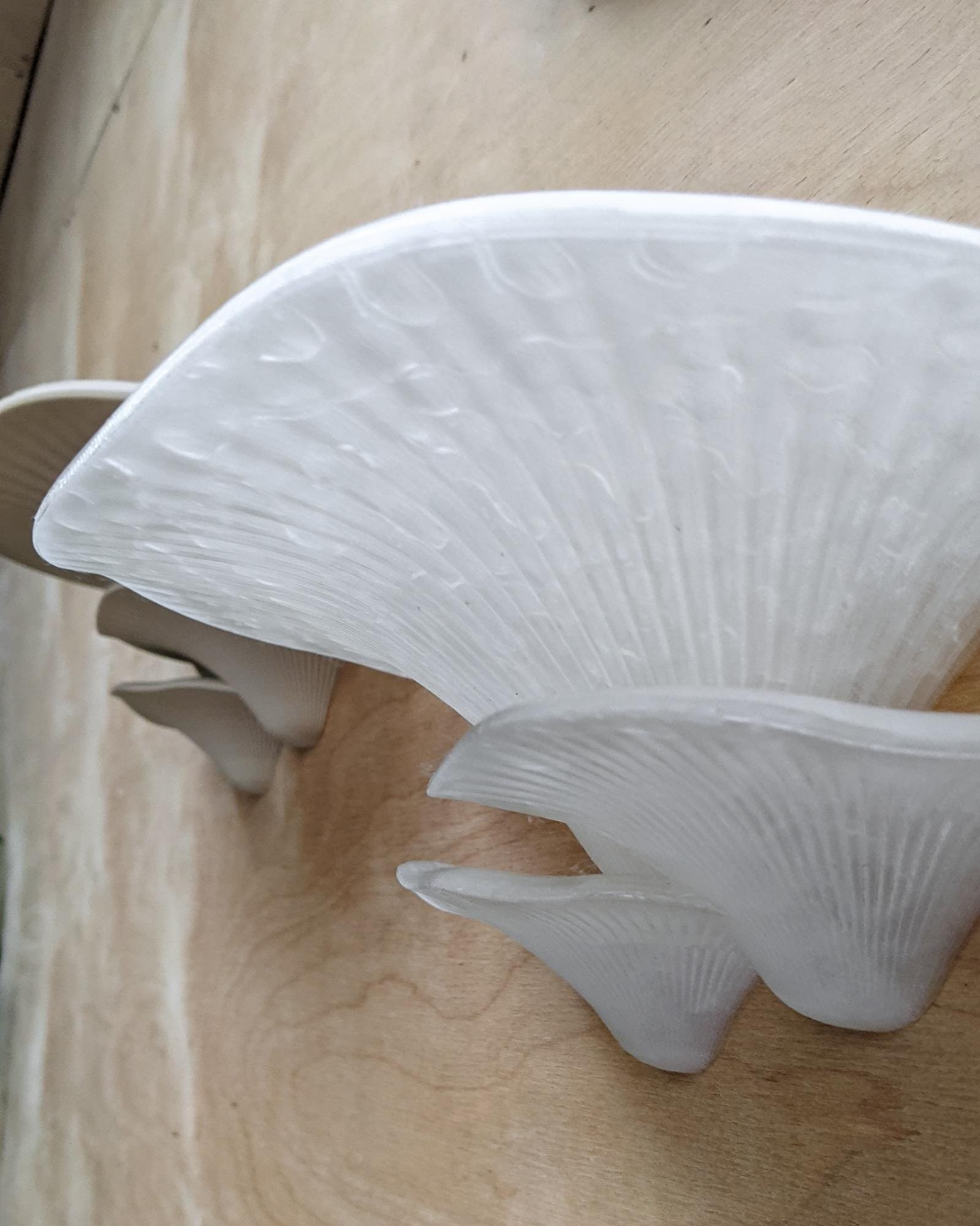 Sienos dekoracija Grybas Crystal 6 Skaidrios_spalvos_grybas_ant_sienos_kerpe_ant_sienos_dekoratyvinis_grybas_gamtos_filosofija