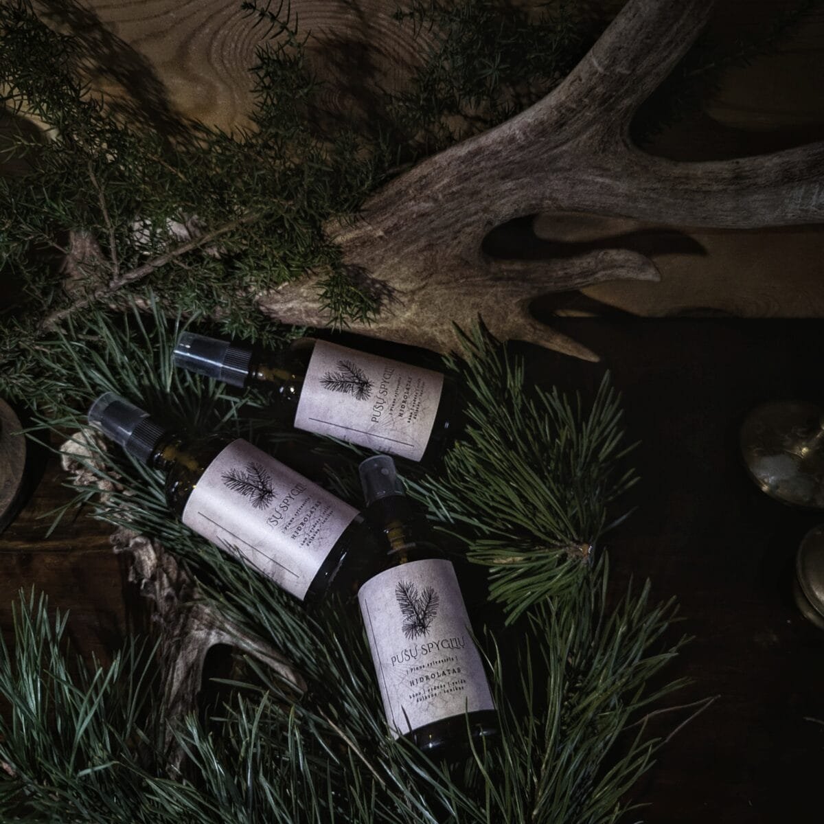 Pušų hidrolatas_gamtos filosofija_spygliuočių hidrolatai_miško kvapas_augalų alchemija (5)