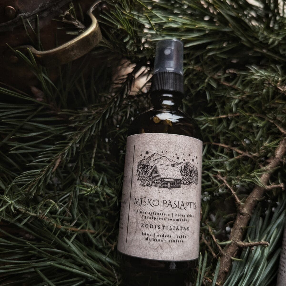 Miško paslaptis - Kodistiliatas iš pušų, kadagių ir eglių