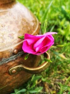 Gamtos filosofija biciu vasko zvakes ranku darbo zvakes 1