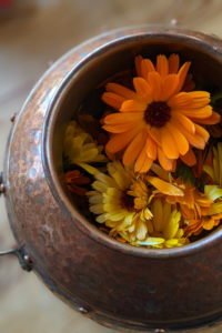 Gamtos filosofija biciu vasko zvakes ranku darbo zvakes 46