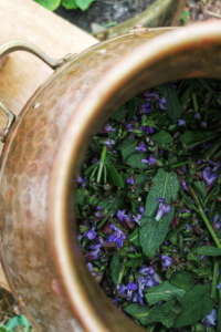 Gamtos filosofija biciu vasko zvakes ranku darbo zvakes 53