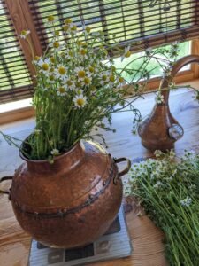 PXL 20230528 151935622.MP