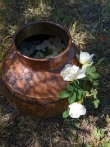 PXL 20230606 102928322