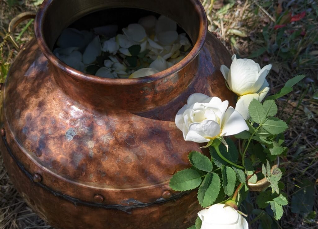 PXL 20230606 102928322 scaled e1775552706551