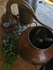 PXL 20230816 080145239